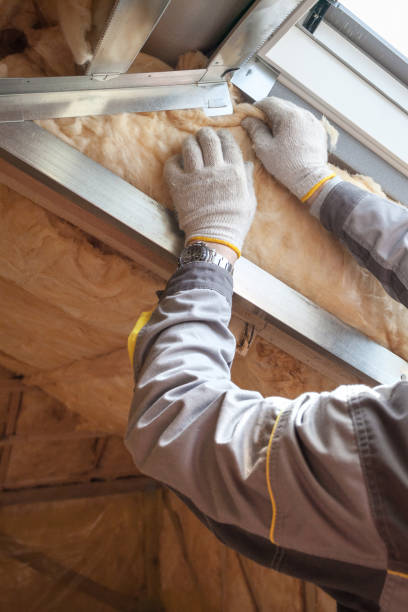 Best Residential Insulation Services  in Fairfax, MN